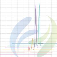 利用斑马鱼模型评价经皮吸收功效