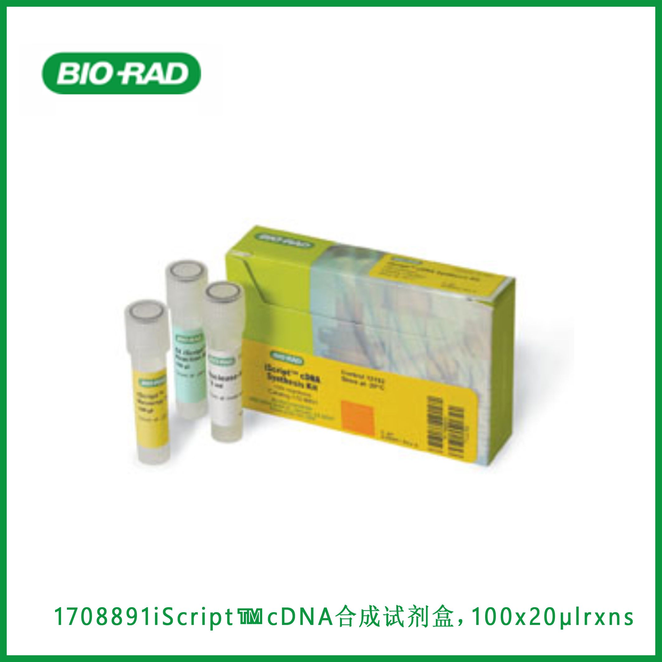 伯乐Bio-Rad1708891iScript™ cDNA Synthesis Kit, 100 x 20 µl rxns, iScript™ cDNA合成试剂盒,100 x 20µl rxns,现货