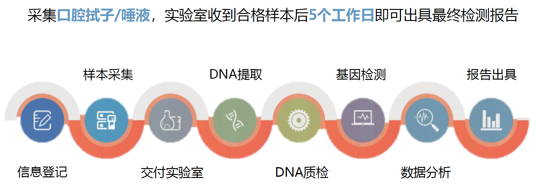 产品细节图片2