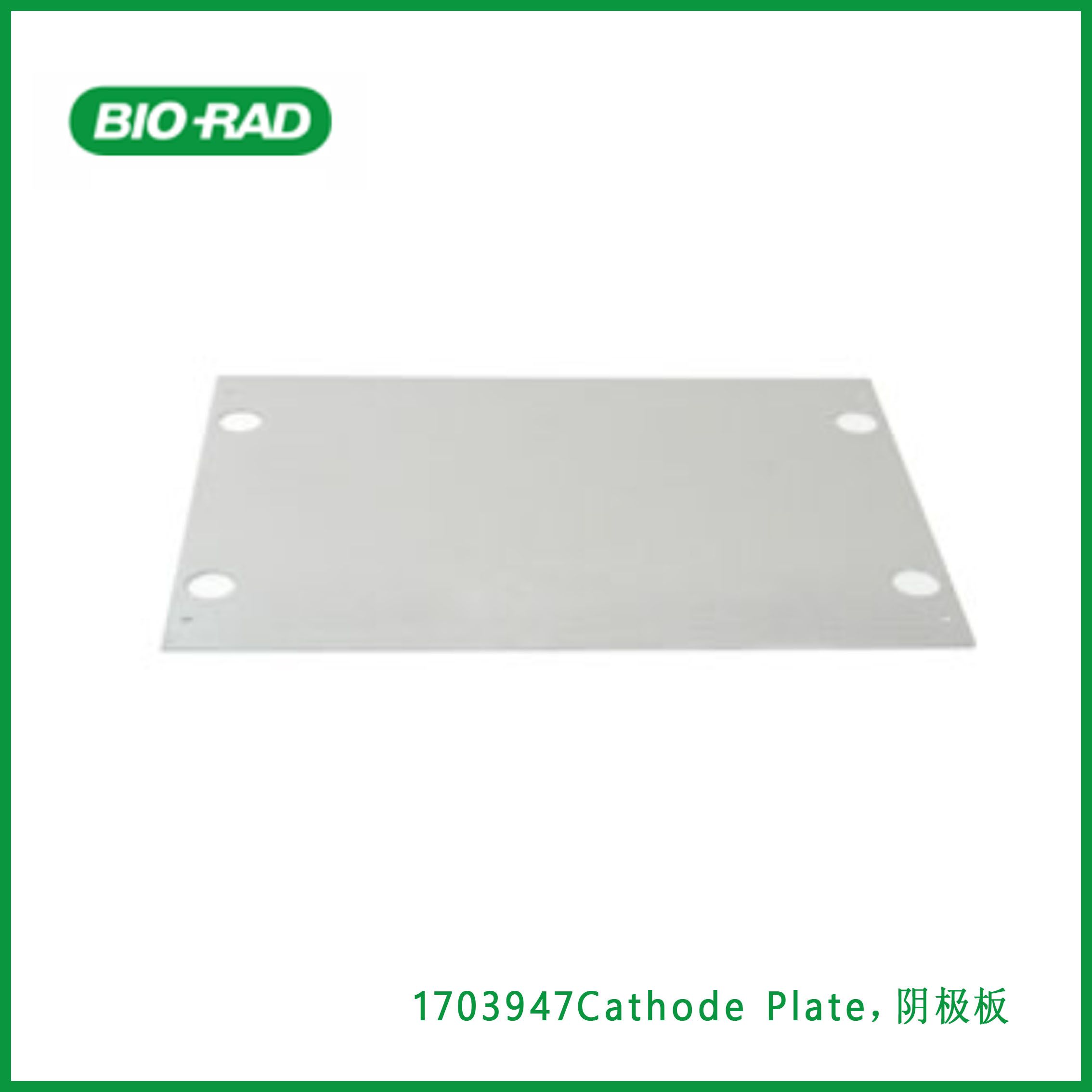伯乐Bio-Rad1703947Cathode Plate，阴极板，1块 用于转印槽，现货