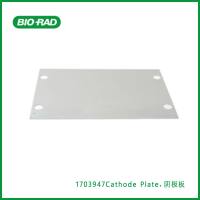 伯乐Bio-Rad1703947Cathode Plate,阴极板,1块 用于转印槽,现货