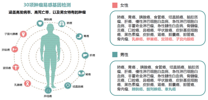 产品细节图片1