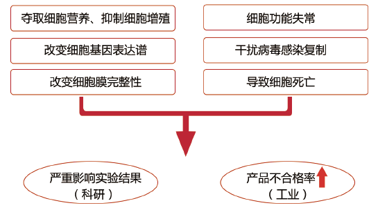 好文收藏：一键清除「胎牛血清质量」和「支原体污染」对细胞培养的影响
