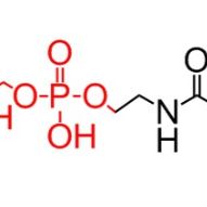 试剂标准品分子合成系列 DSPE-PEG 系列产品及其他相关产品
