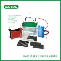 伯乐Bio-Rad1703930Mini Trans-Blot Electrophoretic Transfer Cell， Trans-Blot​​​​​​​微型反式印迹电泳转移池，现货