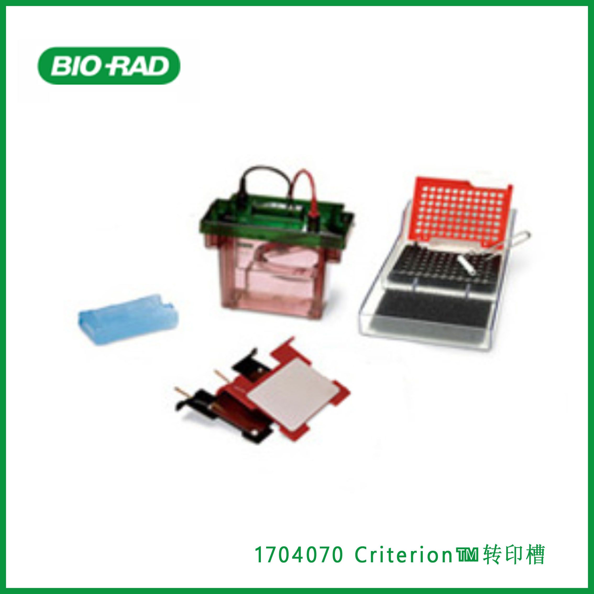 伯乐Bio-Rad1704070 Criterion™ Blotter With Plate Electrodes，Criterion™转印槽，现货