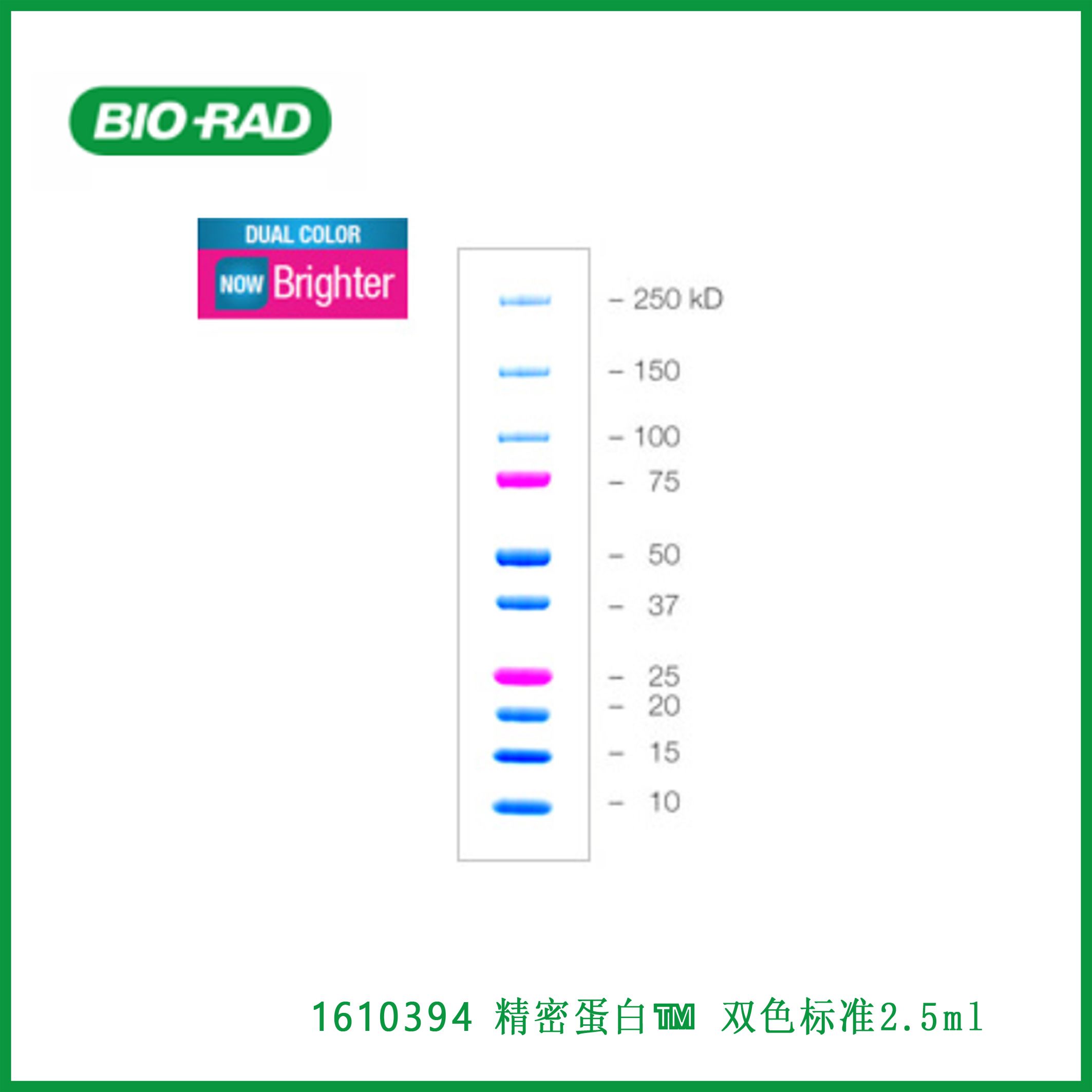 伯乐Bio-Rad1610394Precision Plus Protein™ Dual Color Standards, 2.5 ml，精密蛋白™ 双色标准，2.5 ml,现货