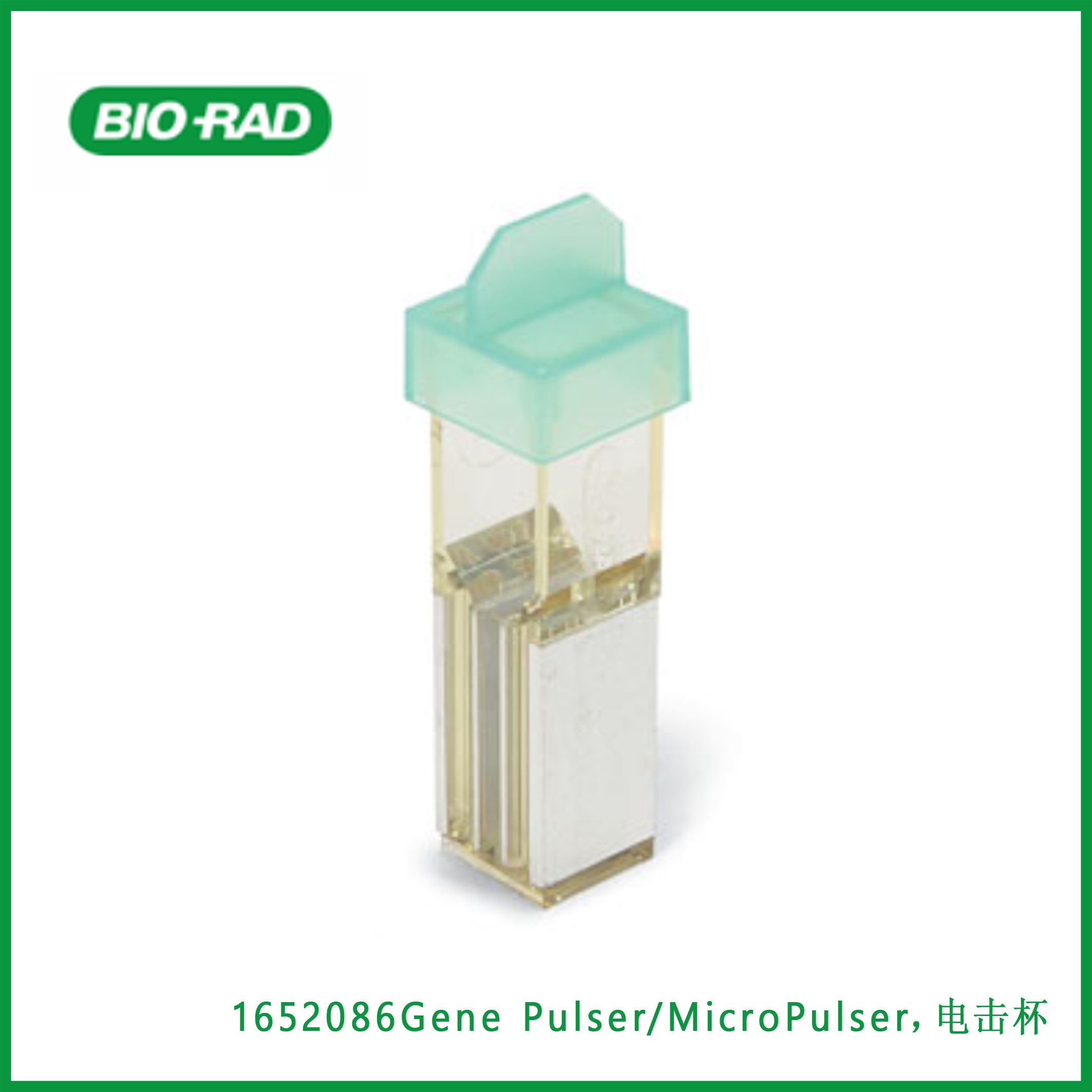伯乐Bio-Rad1652086Gene Pulser/MicroPulser，电击杯,现货