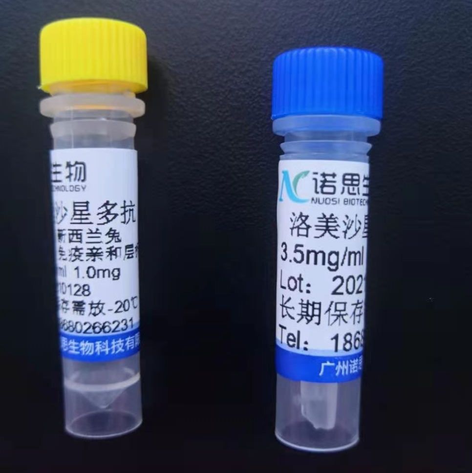 洛美沙星抗体（无交叉）