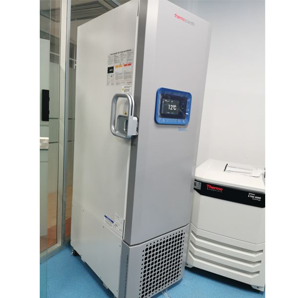 二手超低温冰箱，容量：549升，赛默飞世尔8940086V