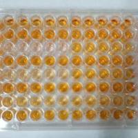 上海肿瘤细胞CCK8实验