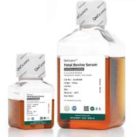 现货供应QmSuero Fetal Bovine Serum，Cell line qualified胎牛血清