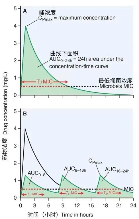 最低抑菌浓度比值(cmax/mic)与血药浓度-曲线下面积/最低抑菌浓度