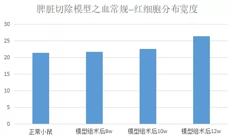 小鼠脾脏切除模型