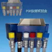 蜈蚣鉴定PCR试剂盒