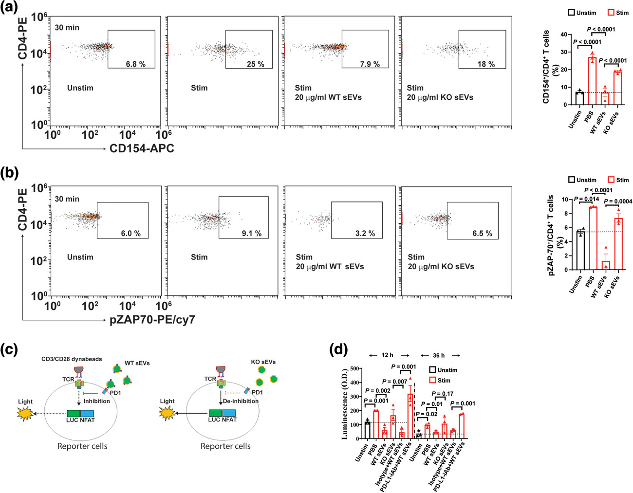 MSC来源的小细胞外囊泡通过PD-L1抑制T细胞功能