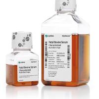 HyClone SFM4MegaVir 培养基