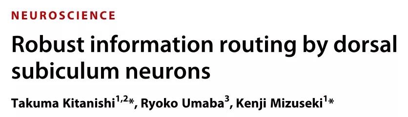 【文献解读】路盲症的福音来了！ 背侧海马下托神经元的信息处理路径