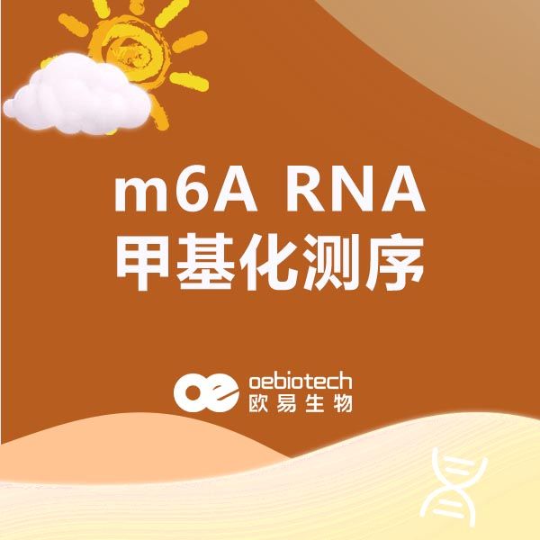  m6A RNA甲基化测序-欧易生物