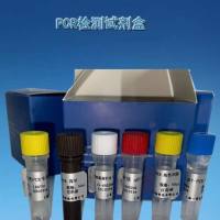 转基因元件Pssu-Ara启动子染料法qPCR试剂盒