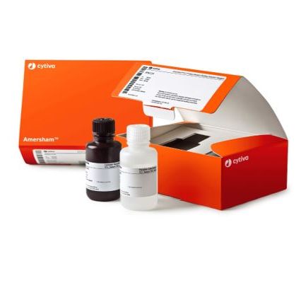 ECL Select WB detection reagent