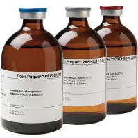 FICOLL PAQUE PREMIUM 6X100ML