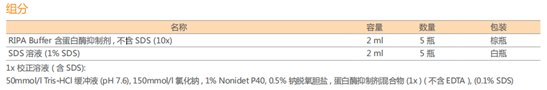 细胞裂解液 : RIPA Buffer