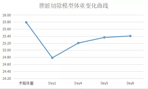小鼠脾脏切除模型