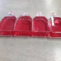 兔心脏微血管内皮细胞/免疫荧光鉴定/镜像绮点(Cellverse)