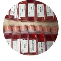 直结肠平滑肌细胞/免疫荧光鉴定/镜像绮点(Cellverse)