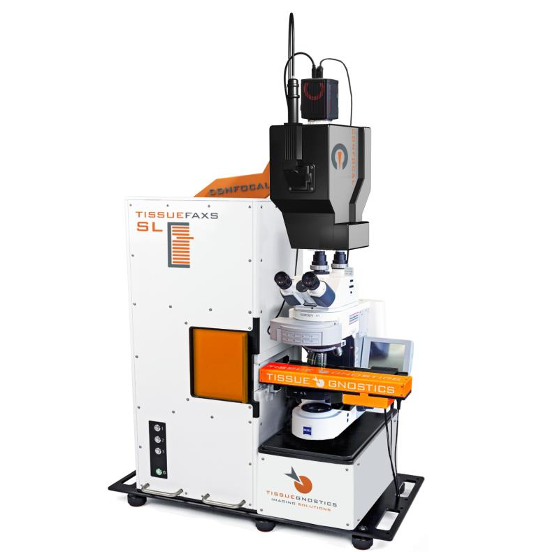 多维全景组织成像定量分析系统 TissueFAXS-组织定量