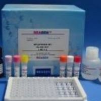 上海钙蛋白(OCN)ELISA检测实验