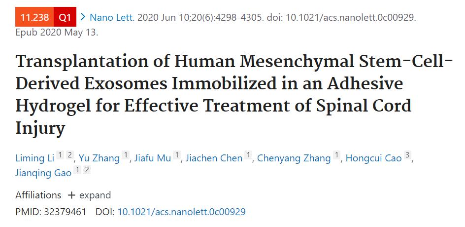 MSC来源的外泌体整合至水凝胶后移植治疗脊髓损伤