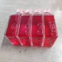 猪肾小管上皮细胞 | 肾小管上皮细胞 | 免疫荧光鉴定/镜像绮点（Cellverse）