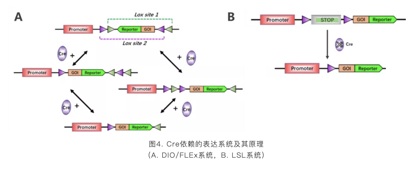 新闻图片6