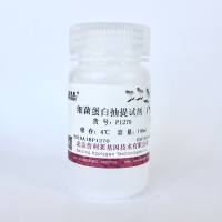 细菌总蛋白非变性提取试剂  P1270  厂家直销，提供OEM定制服务，大包装更优惠 