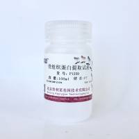 骨蛋白提取试剂    P1259   厂家直销，提供OEM定制服务，大包装更优惠 