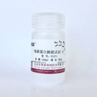 细菌总蛋白变性提取试剂  P1271 厂家直销，提供OEM定制服务，大包装更优惠 