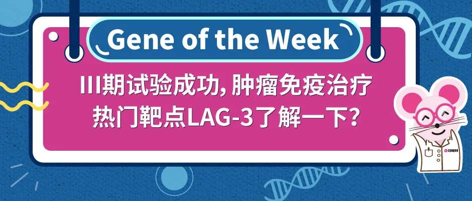 CTLA-4/LAG3 双免疫检查点人源化小鼠助力肿瘤研究