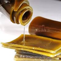 岩藻多糖检测|褐藻酸检测|藻类活性成分检测