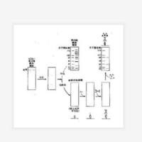 蛋白质印迹法技术服务