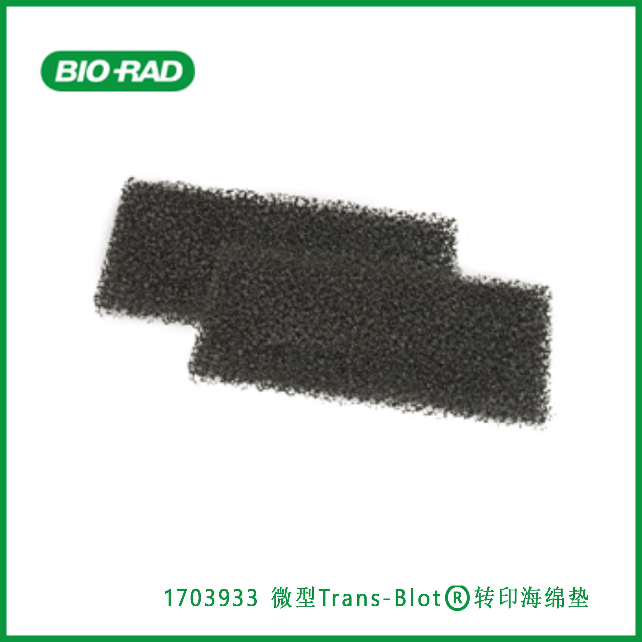 伯乐Bio-Rad1703933Foam Pads for Mini Trans-Blot® Cell， ​​​​​​​微型Trans-Blot®转印海绵垫，现货