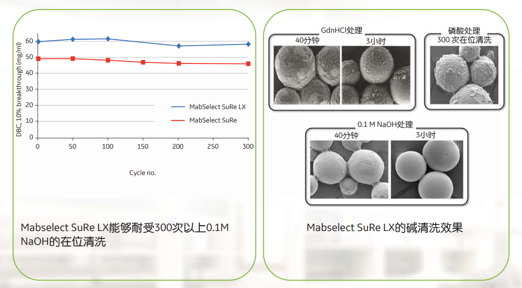 Ge 28408253 Mabselect Sure Lx单抗纯化预装柱，现货价格 详情介绍 960化工网 960化工网