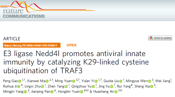 海军军医大学揭示半胱氨酸泛素化可调控抗病毒免疫反应