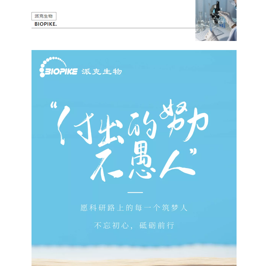 付出的努力不愚人！