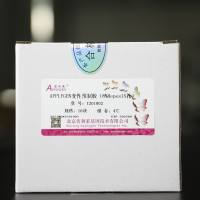 APPLYGEN变性预制胶（8%Hepes15孔）  T201902   厂家直销，提供OEM定制服务，大包装更优惠 