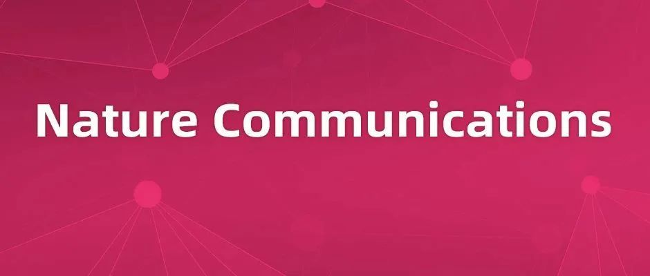 海军军医大学揭示半胱氨酸泛素化可调控抗病毒免疫反应