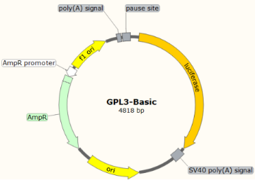 快速预测启动子和转录因子结合