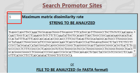 快速预测启动子和转录因子结合