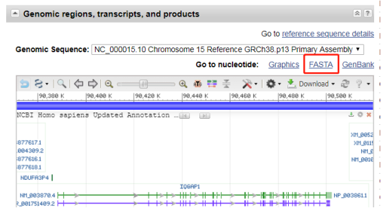 快速预测启动子和转录因子结合